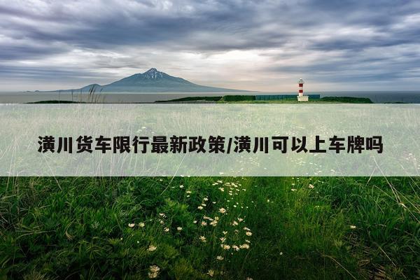 潢川货车限行最新政策/潢川可以上车牌吗