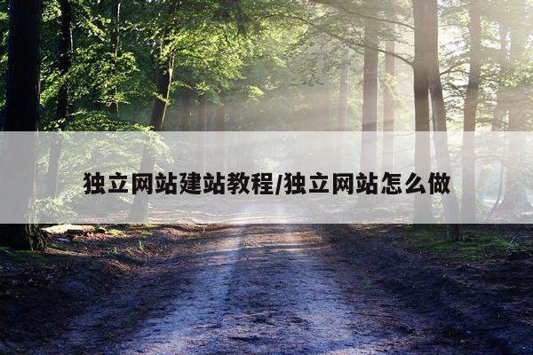 独立网站建站教程/独立网站怎么做