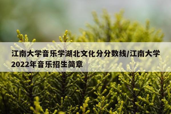 江南大学音乐学湖北文化分分数线/江南大学2022年音乐招生简章