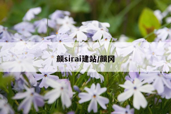 颜sirai建站/颜冈