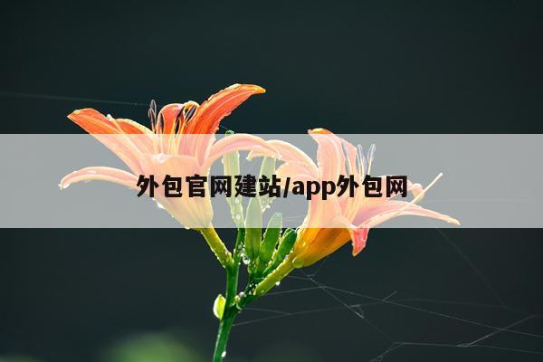 外包官网建站/app外包网