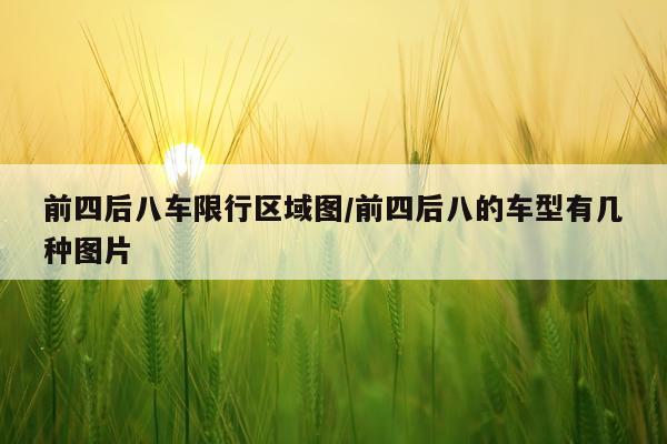 前四后八车限行区域图/前四后八的车型有几种图片