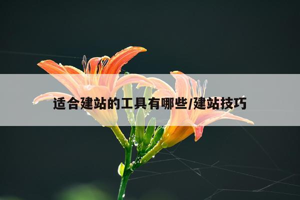 适合建站的工具有哪些/建站技巧