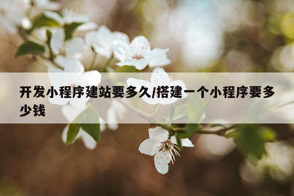 开发小程序建站要多久/搭建一个小程序要多少钱