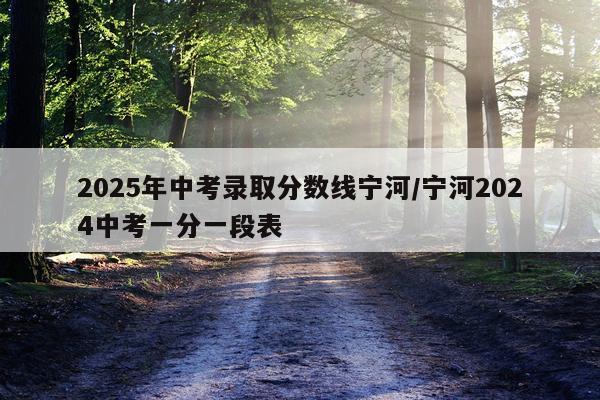 2025年中考录取分数线宁河/宁河2024中考一分一段表