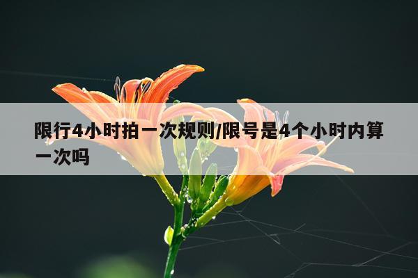 限行4小时拍一次规则/限号是4个小时内算一次吗