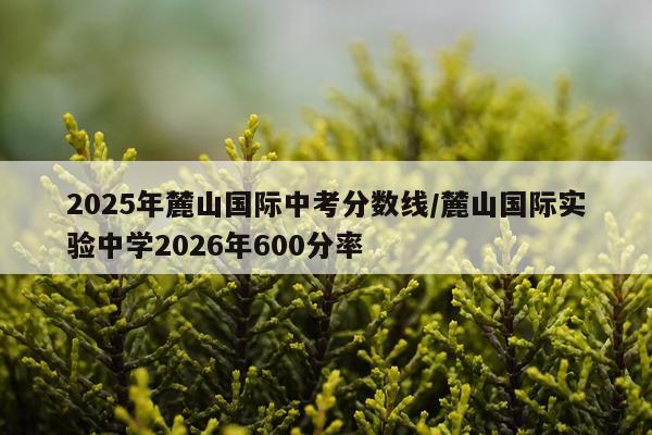 2025年麓山国际中考分数线/麓山国际实验中学2026年600分率