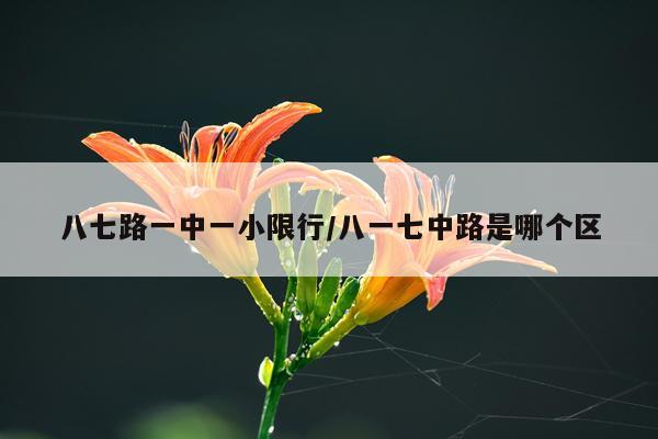 八七路一中一小限行/八一七中路是哪个区