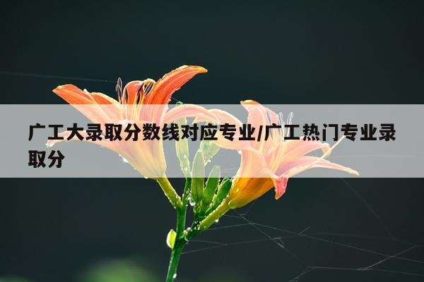 广工大录取分数线对应专业/广工热门专业录取分