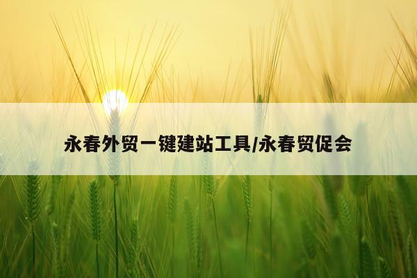 永春外贸一键建站工具/永春贸促会