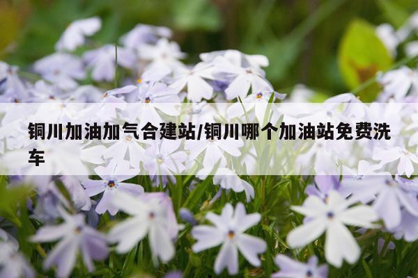 铜川加油加气合建站/铜川哪个加油站免费洗车