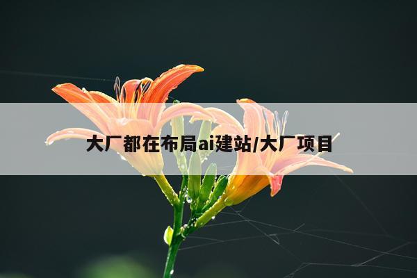 大厂都在布局ai建站/大厂项目