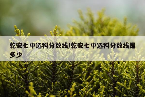 乾安七中选科分数线/乾安七中选科分数线是多少
