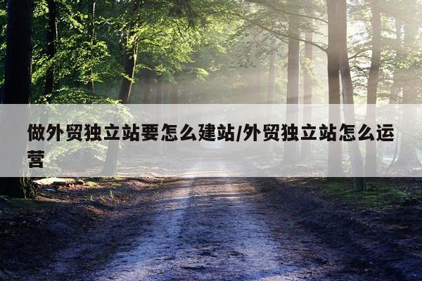 做外贸独立站要怎么建站/外贸独立站怎么运营