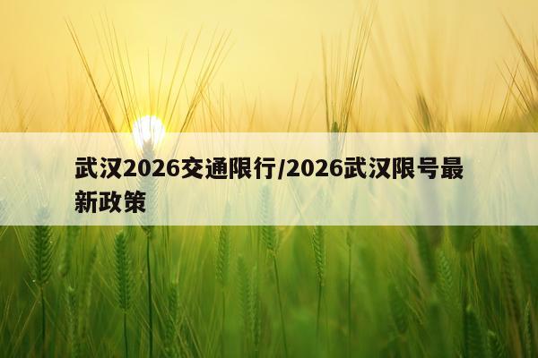 武汉2026交通限行/2026武汉限号最新政策