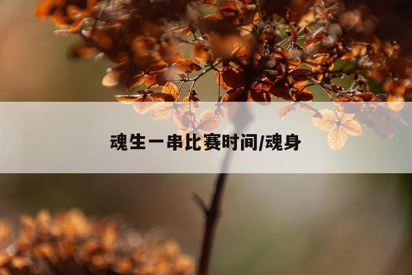 魂生一串比赛时间/魂身