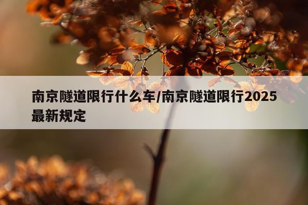南京隧道限行什么车/南京隧道限行2025最新规定