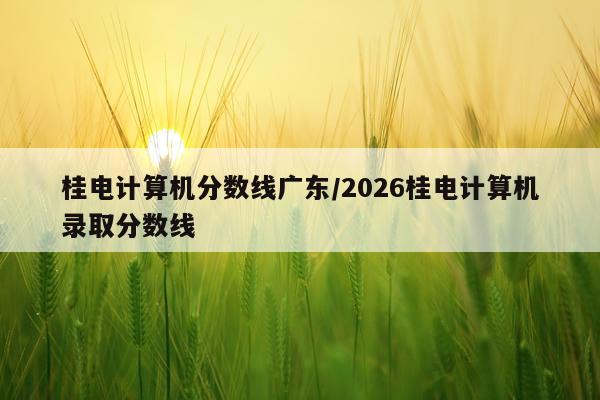 桂电计算机分数线广东/2026桂电计算机录取分数线