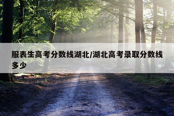 服表生高考分数线湖北/湖北高考录取分数线多少