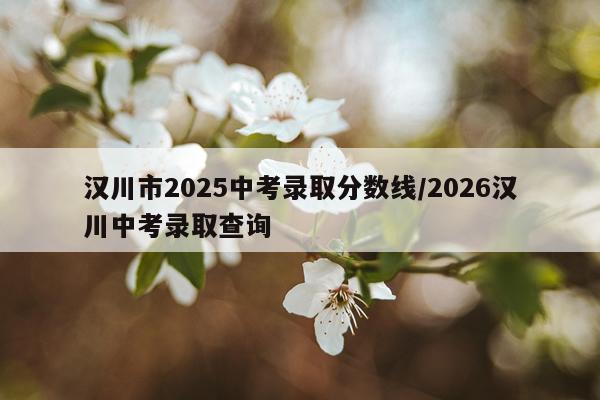汉川市2025中考录取分数线/2026汉川中考录取查询