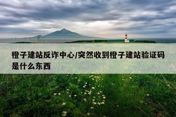 橙子建站反诈中心/突然收到橙子建站验证码是什么东西