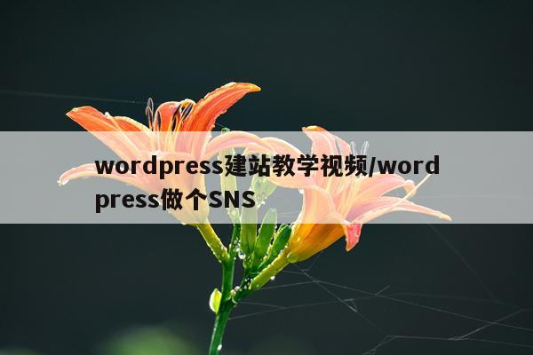 wordpress建站教学视频/wordpress做个SNS