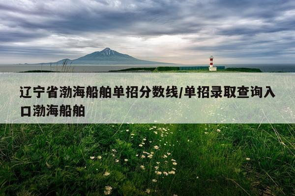 辽宁省渤海船舶单招分数线/单招录取查询入口渤海船舶
