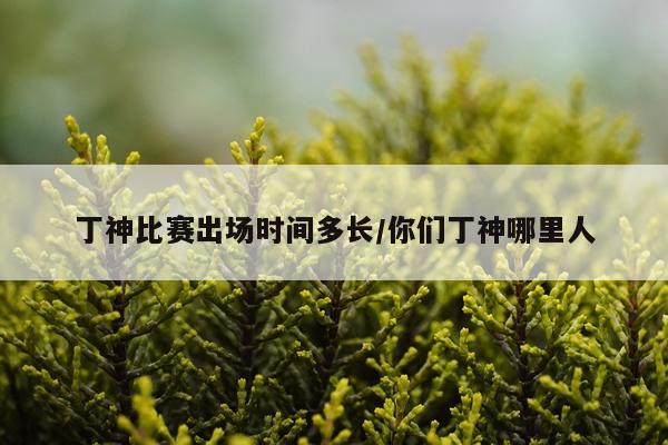 丁神比赛出场时间多长/你们丁神哪里人