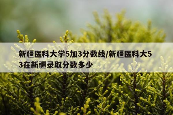 新疆医科大学5加3分数线/新疆医科大5 3在新疆录取分数多少