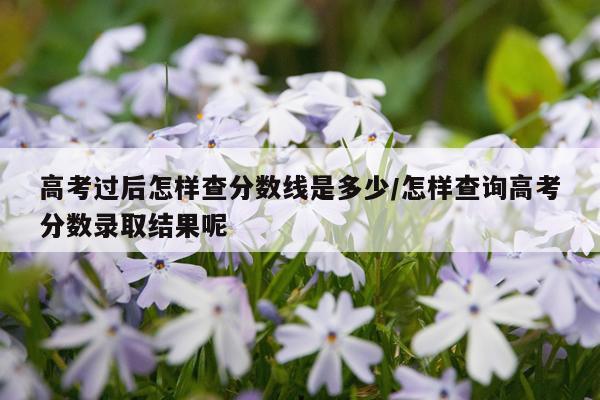 高考过后怎样查分数线是多少/怎样查询高考分数录取结果呢