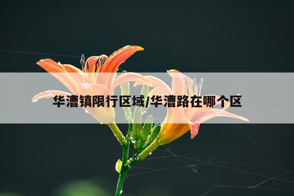 华漕镇限行区域/华漕路在哪个区