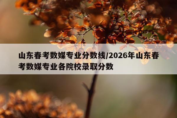 山东春考数媒专业分数线/2026年山东春考数媒专业各院校录取分数