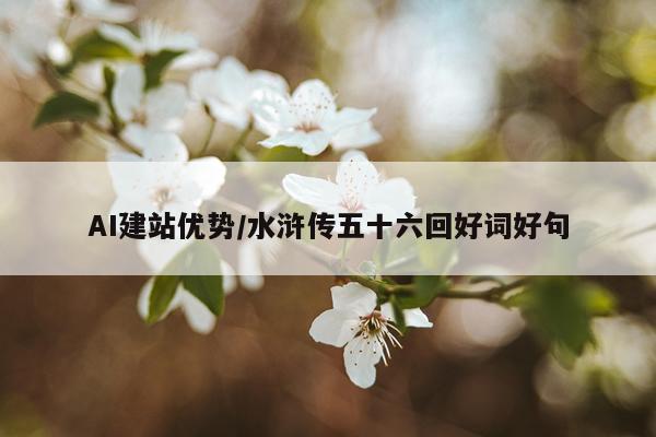 AI建站优势/水浒传五十六回好词好句