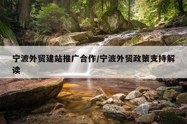 宁波外贸建站推广合作/宁波外贸政策支持解读