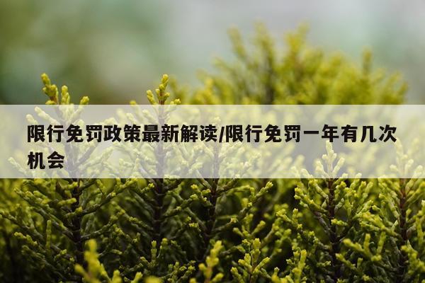 限行免罚政策最新解读/限行免罚一年有几次机会