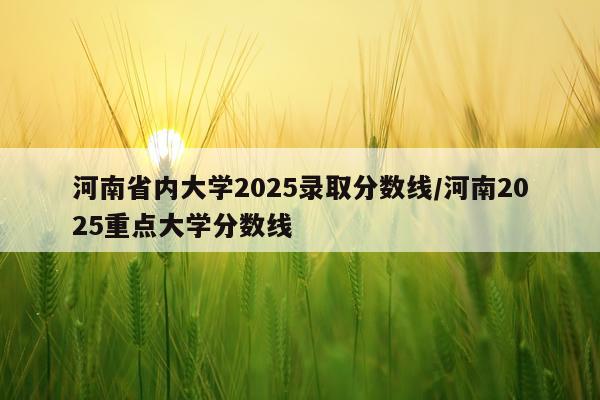河南省内大学2025录取分数线/河南2025重点大学分数线