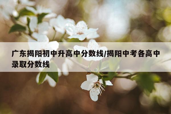广东揭阳初中升高中分数线/揭阳中考各高中录取分数线