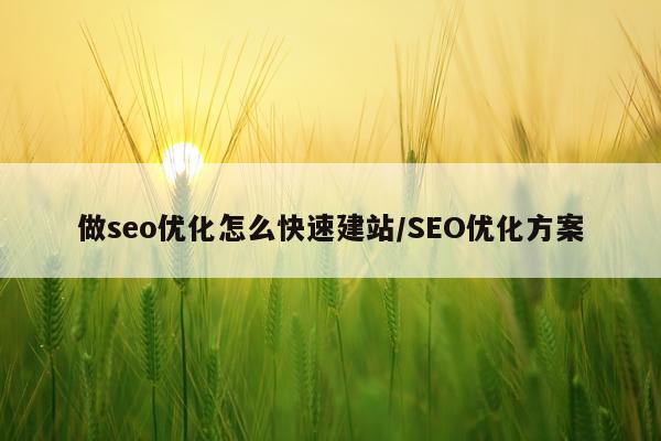 做seo优化怎么快速建站/SEO优化方案