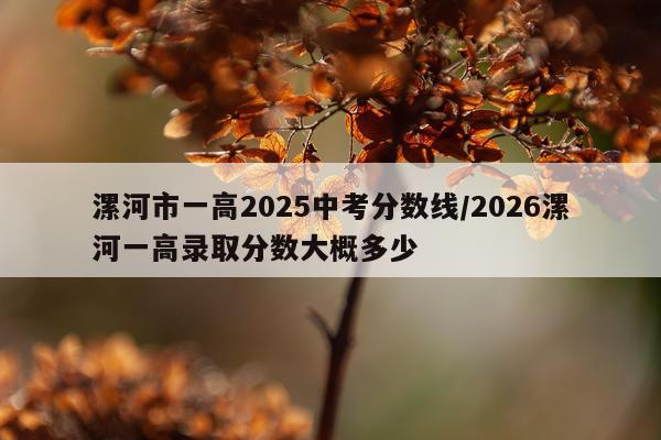 漯河市一高2025中考分数线/2026漯河一高录取分数大概多少