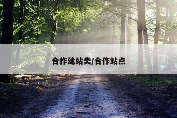 合作建站类/合作站点