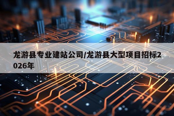 龙游县专业建站公司/龙游县大型项目招标2026年