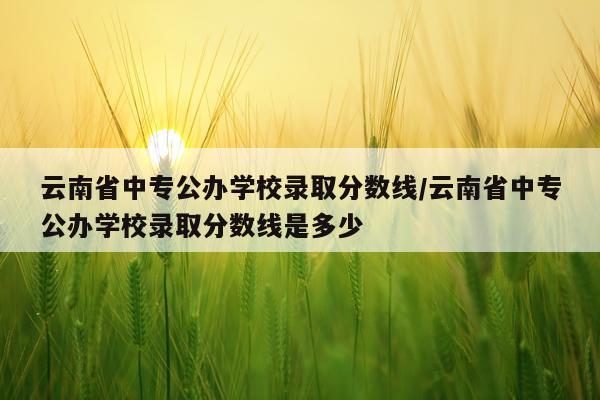 云南省中专公办学校录取分数线/云南省中专公办学校录取分数线是多少