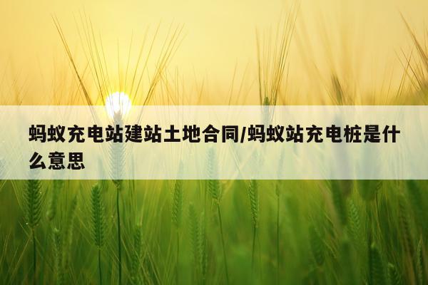 蚂蚁充电站建站土地合同/蚂蚁站充电桩是什么意思