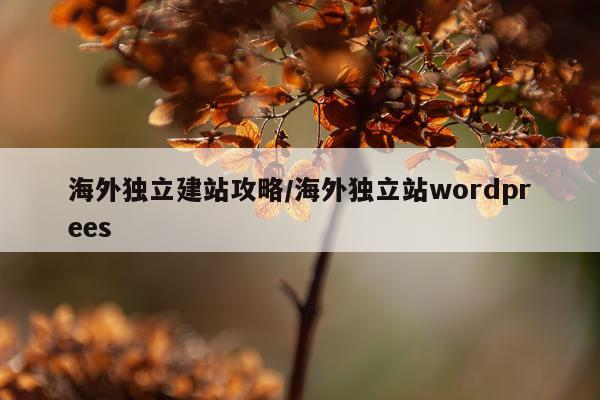 海外独立建站攻略/海外独立站wordprees