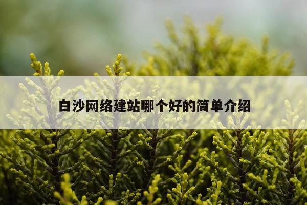 白沙网络建站哪个好的简单介绍