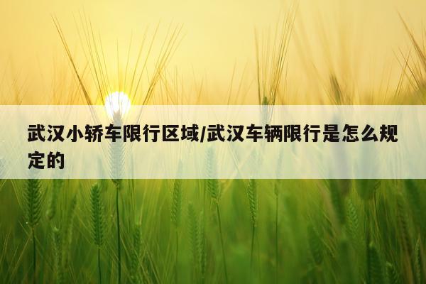 武汉小轿车限行区域/武汉车辆限行是怎么规定的