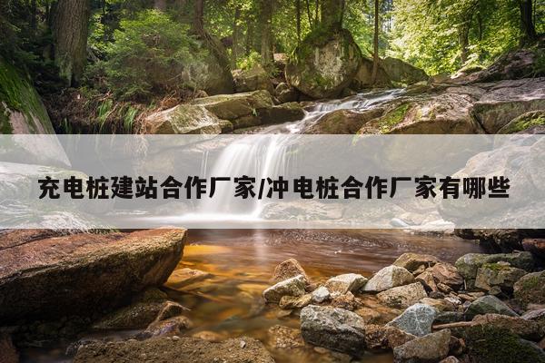 充电桩建站合作厂家/冲电桩合作厂家有哪些