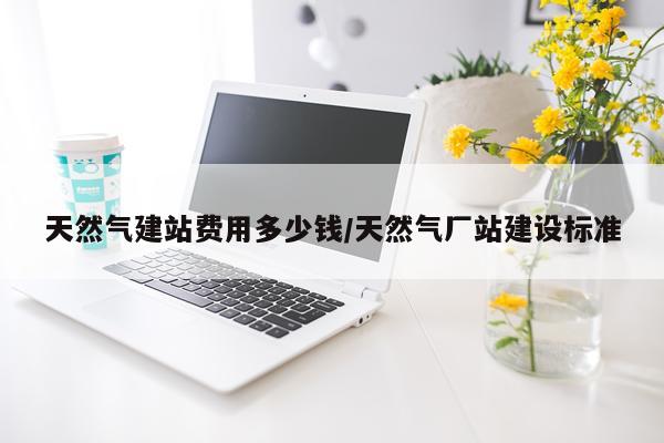 天然气建站费用多少钱/天然气厂站建设标准