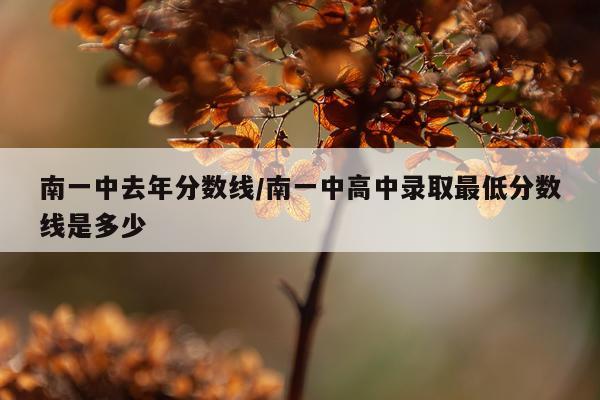 南一中去年分数线/南一中高中录取最低分数线是多少
