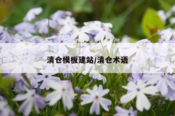 清仓模板建站/清仓术语